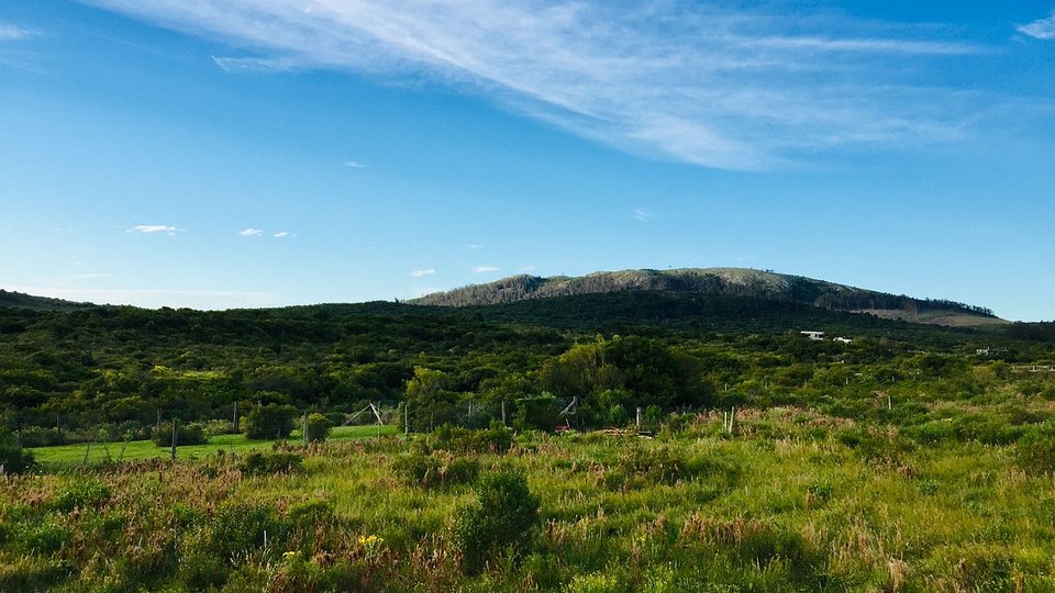 Terreno en Punta Colorada