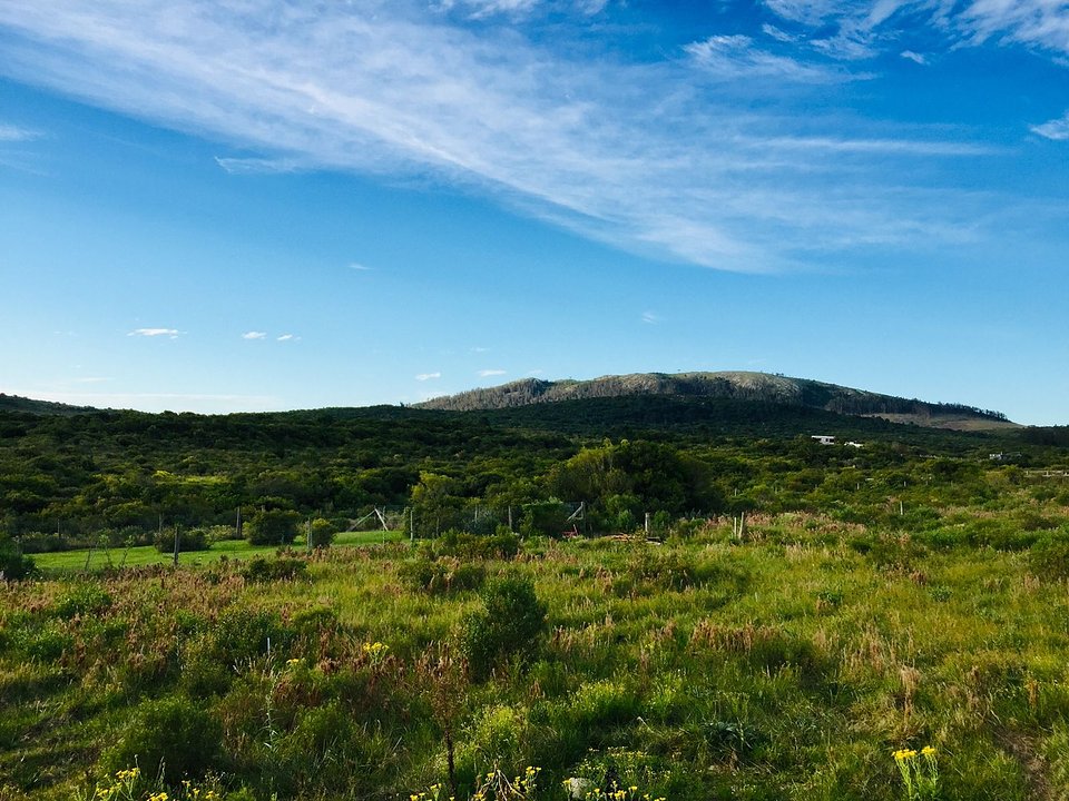 Terreno en Punta Colorada