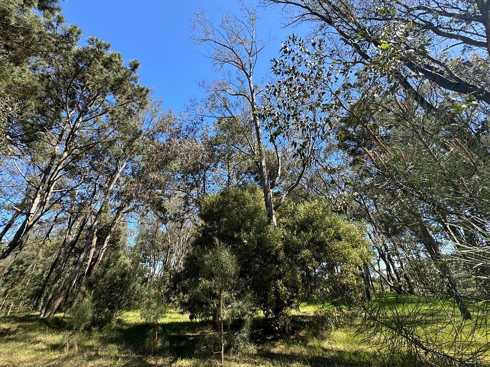 Terreno en Barra Verde